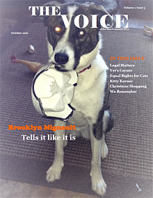 the voice oct 2016